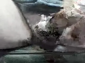 freedomwill2018 Image 4