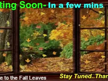 scifidiscoguy Image 11