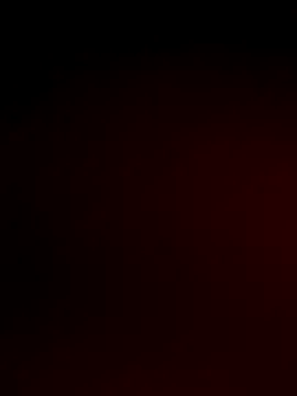 Juanita-Diaz Image 10